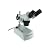 Celestron 44202 Advanced Stereo Microscope