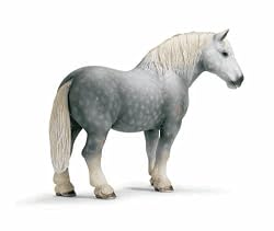 Percheron Stallion