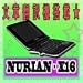 [Nurian]����NURAN X16�E�E�|��@���ځE�E�����{��ݒ�E...