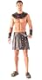Vinyl Barbarian Men's Costume Adult Halloween Outfit - One Size/STD, Waist Size 30-38