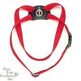 Coastal 20-28 inch Blue 3/4 Adjustable Nylon Harness