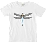 Dragonfly Women