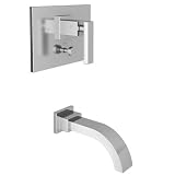 BP Tub and Shower & Flange