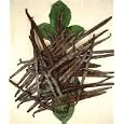 BUY : Premium Bourbon-Madagascar Vanilla Beans - 1/4 lb. - Approx. 27 beans