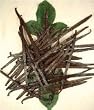 Premium Bourbon-Madagascar Vanilla Beans - 1/4 lb. - Approx. 27 beans