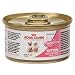 Royal Canin Canned Cat Food, Kitten Instinctive (Pack of 24 3-Ounce Cans)