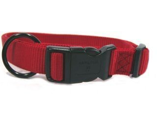 Adjustable Dog Collar, 1