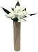�s���ԁE�ԕr�tF-style vase Plumeria�@White�i�v�������A�x�[�X/�z���C�g�j