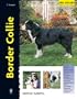 Border Collie (Excellence) (Spanish Edition)