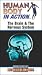 Human Body In Action : The Brain and The Nervous System