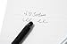 Pilot Ballpoint Pen, Frixion Ball Biz, Silver (LFB-150EF-S)