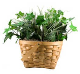 KJB Security C2000 Plant Camera Color Hardwired KJB Security C2000 Plant Camera Color Hardwired