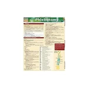 circulatory system free