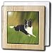 Dogs Border Collie - Border Collie - Tile Napkin Holders