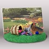 Yorkshire Terrier - Picture Frame with Teddy Bear