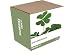 Grow It: Shamrock