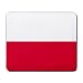 Poland Flag Mouse Pad