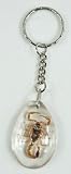 Mens & Ladies CLEAR SCORPION Keychain Ring Keychain Keyring