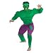 Search : The Incredible Hulk Muscle Adult Halloween Costume