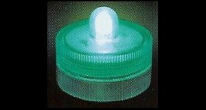 Box of 10 Acolyte Submersible Floralyte Green - On Sale Now!