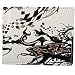 fox racing encore 3 wallet white black