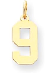 14k Gold Small Polished Number 9 Charm