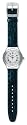 SWATCH CORE COLLECTION HERACLES YAS403