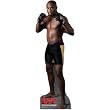 UFC Brock Lesnar Cardboard Stand