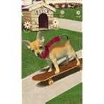chihuahuaon