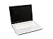 Zoostorm T4200