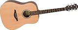 Hohner Essential Dreadnought Guitar