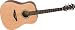 Hohner Essential Dreadnought Guitar
