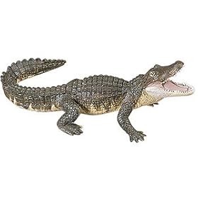  Wild Safari Wildlife: Alligator