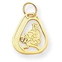 14kt Yellow Gold Aquarius Charm