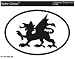 WALES (DRAGON) Oval Bumper Sticker