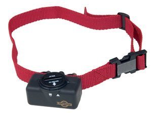 Childrens Toyshop  Pet Supplies : PetSafe PBC-102 No-Bark Collar