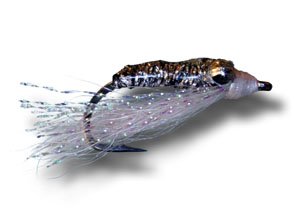 Epoxy Crazy Charlie - Fishing Fly