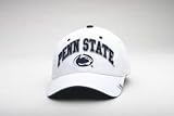 Penn State Nittany Lions Sport Logo Penn State White