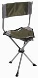 Ultimate Slacker Chair - Green/Gray