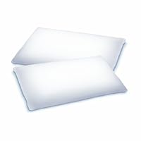 Sleep Innovations King Size Duette Pillow, 2-Pack