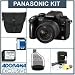 Panasonic Lumix DMC-G2K Micro System Digital SLR Camera - Black - with 14mm - 42mm f/3.5-f/5.6 Lens, 8GB SD Memory Card, Camera Case, USB 2.0 SD Card Reader, Spare BLB13 Lithium Ion Type Battery. Professional Lens Cleaning Kit,