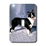 Dogs Border Collie - Border Collie - Light Switch Covers - single toggle switch