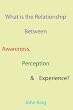 What is the Relationship Between Awareness, Perception & Experience?