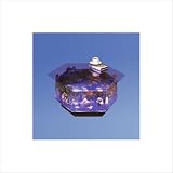Aqua Octagon Coffee Table Aquarium