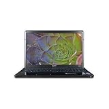 Sony Vaio VPCEC2JFX/BI 17.3" 3GB 320GB DVDRW Laptop