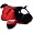 Texas Tech Red Raiders