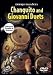 Conga Masters: Changuito and Giovanni Duets