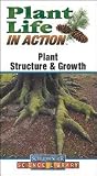 Plant Structure and Growth : PLANT LIFE IN ACTION