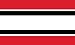 Tampa Bay Buccaneers NFL Team Color Wallpaper Border by Writings on the Wall