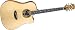 Luna Oracle Acoustic-Electric Guitar, Crane
